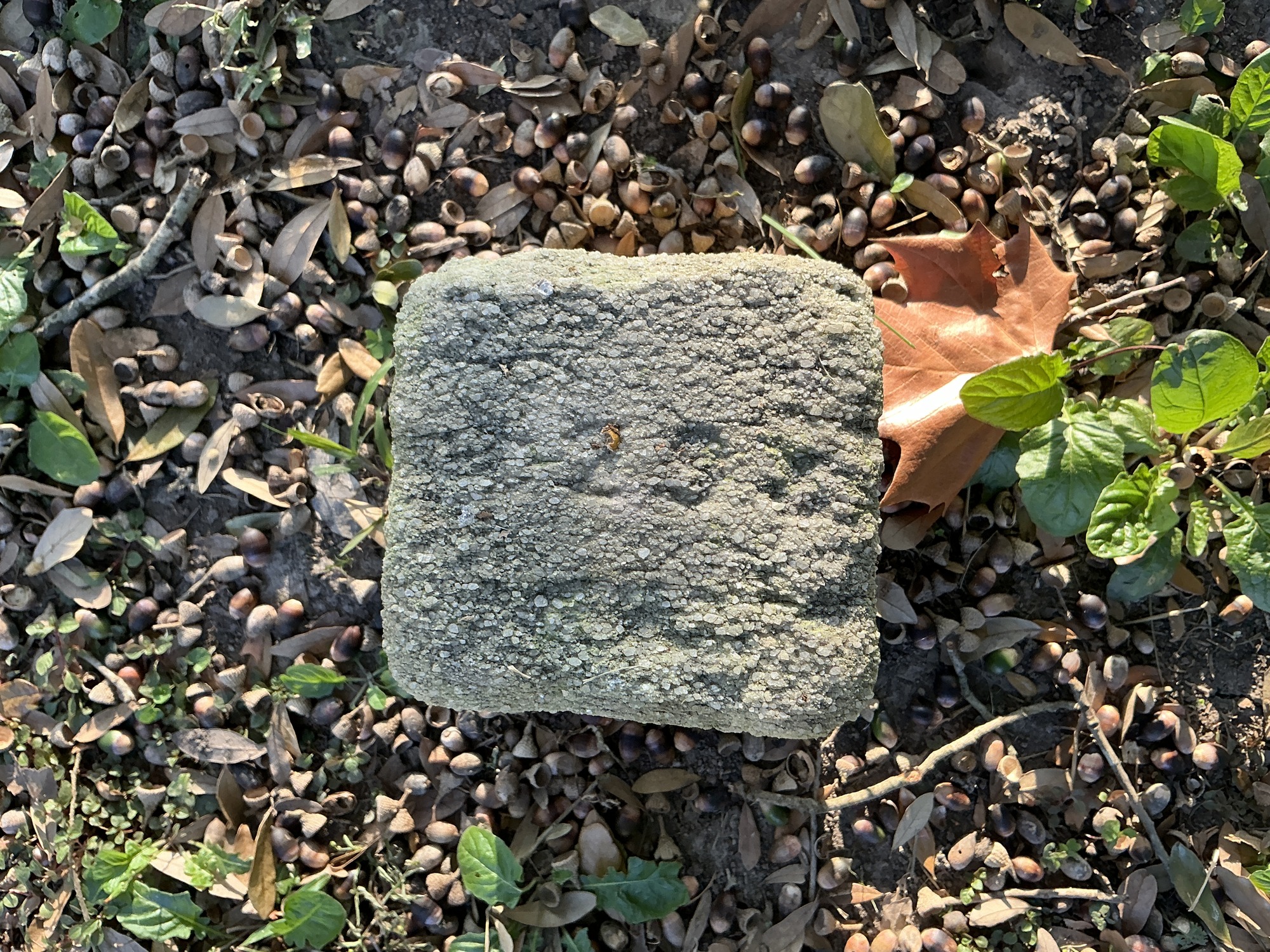 Top of flat marble marker