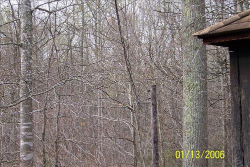 Cabin Camp 2 Overhead Electical Wire Replacement, Prince William Forest Park, April 2009