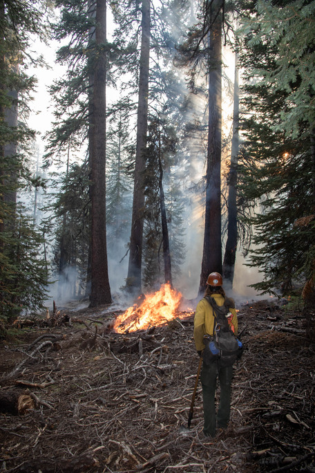 Wildland firefighters walk through wooded areas with smoke and fire around them