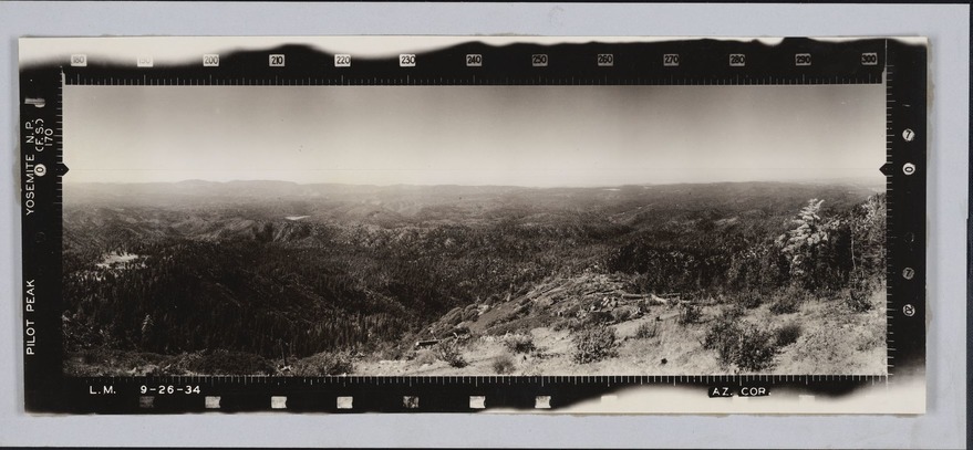 Pilot Peak Yosemite (F.S.)