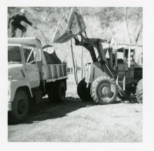 BW photo of the removal of debris from cleaning and/ or pruning.