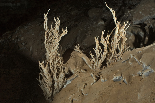 Two clusters of coral-like rock grow from the cave floor.