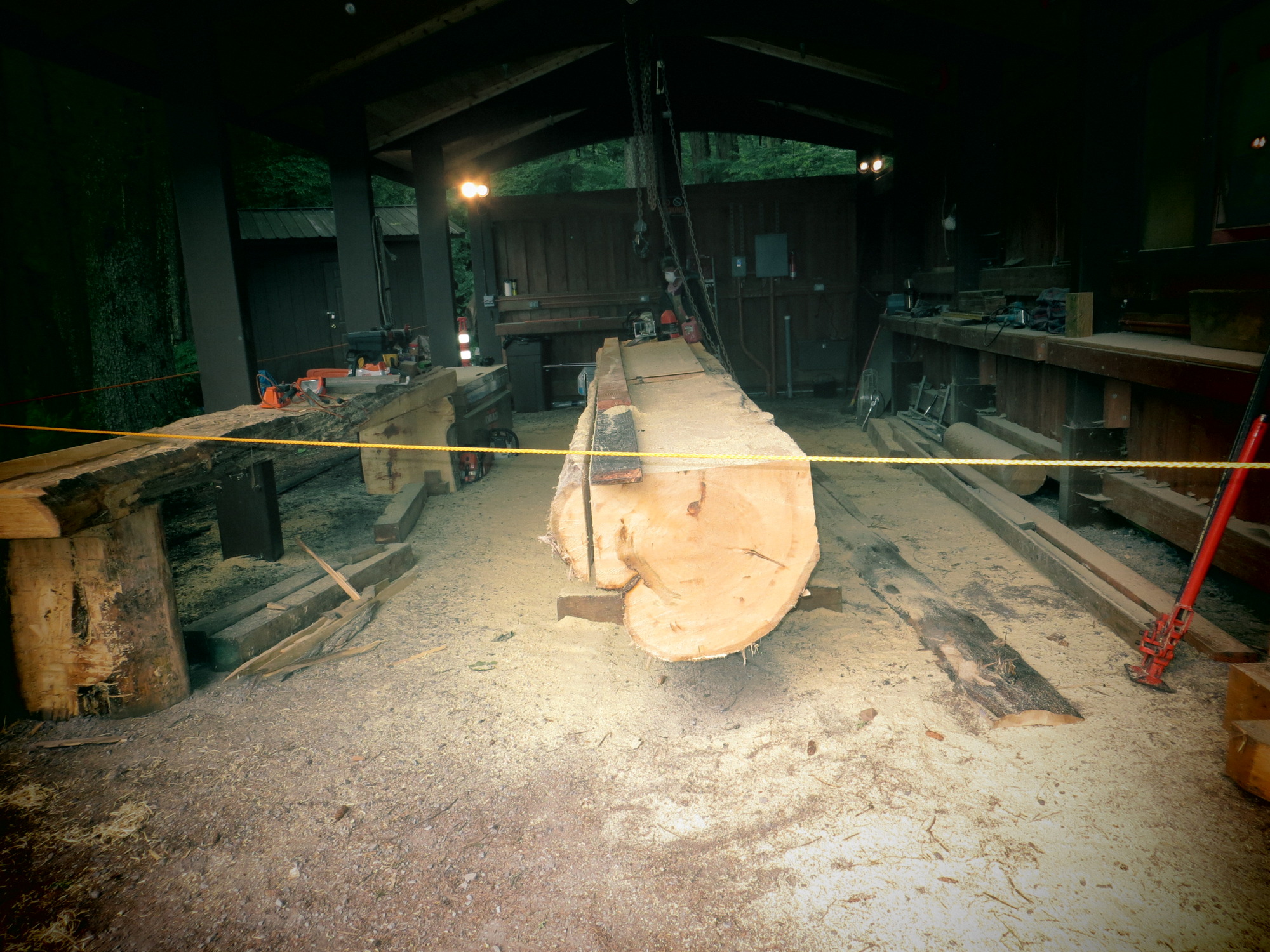 A log in the process of being squared. the top is flat. There is a guide on the top and a cut is visible on the sides where the carver is cutting the sides to be flat.