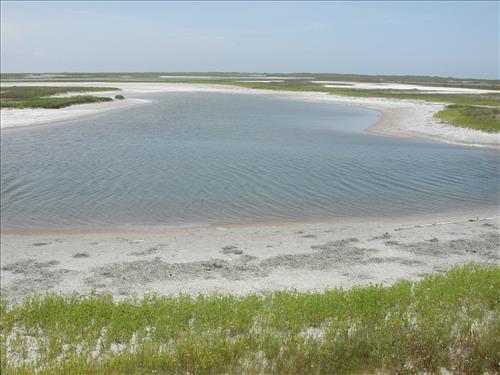 Scenery of Padre Island National Seashore