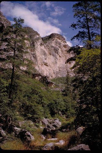 Views at Guadalupe Mountains National Park, Texas