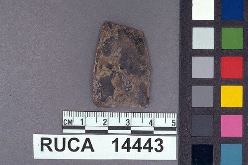 RUCA   14443 -- Point, Projectile