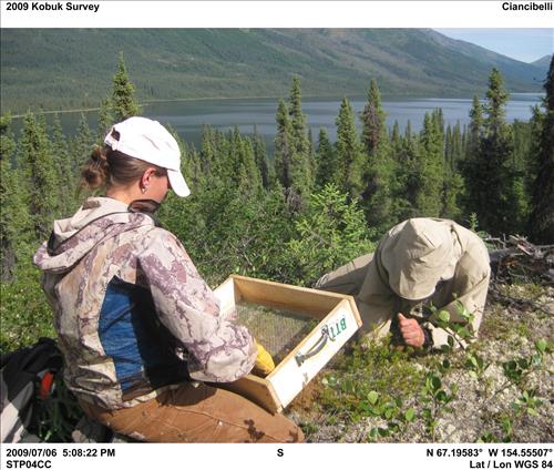 Walker Lake project area