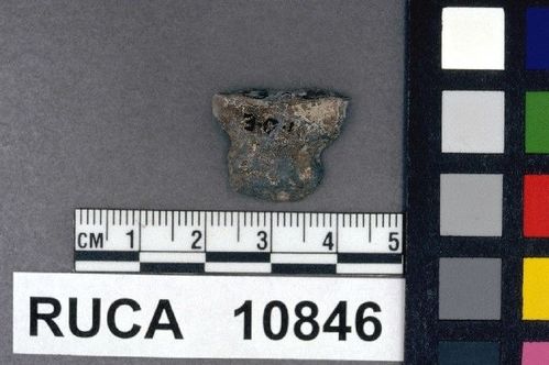 RUCA   10846 -- Point, Projectile