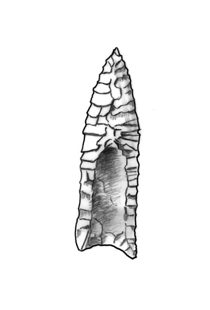 a Clovis point (10,000 BCE)