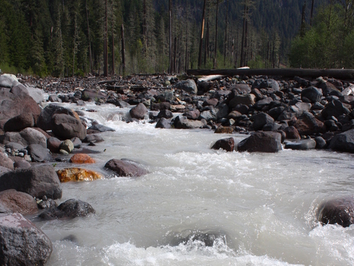 A river flows through a boulder-filled river bed. 