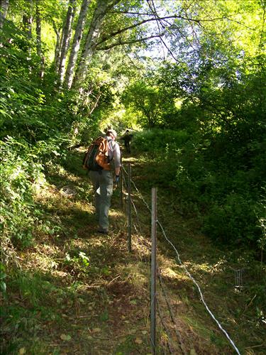 Orick Hill Fence Repair 2010
