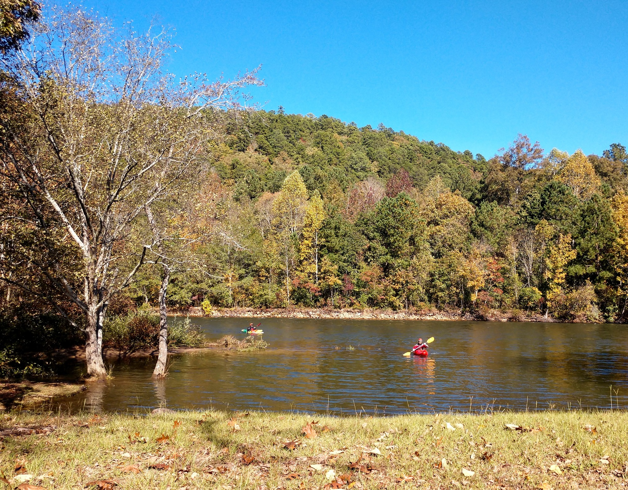 Canyon Mouth Park and the Wildlife Management Area offer calmer waters for those wanting to canoe or kayak at Little River Canyon.