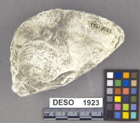 DESO    1923 -- Chopper