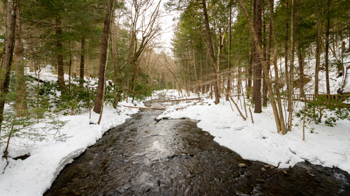 Dingman's creek flows between ice covered shores, dense with hemlock trees and mountain laurel plants. 