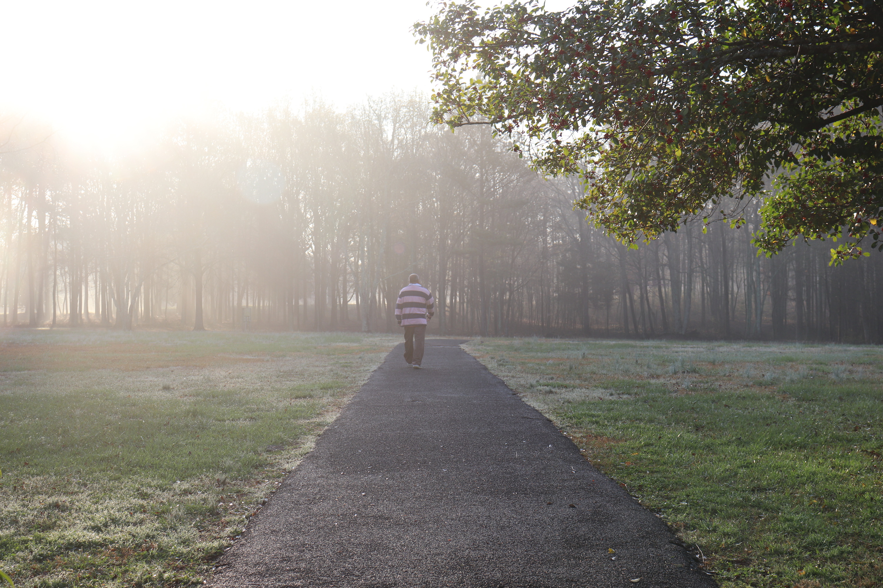 A man walks the battlefield trail during an early morning at Cowpens. A mist sits in the air hiding the sun but creating a glare.