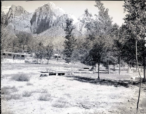 Campsites at South Campground extension.