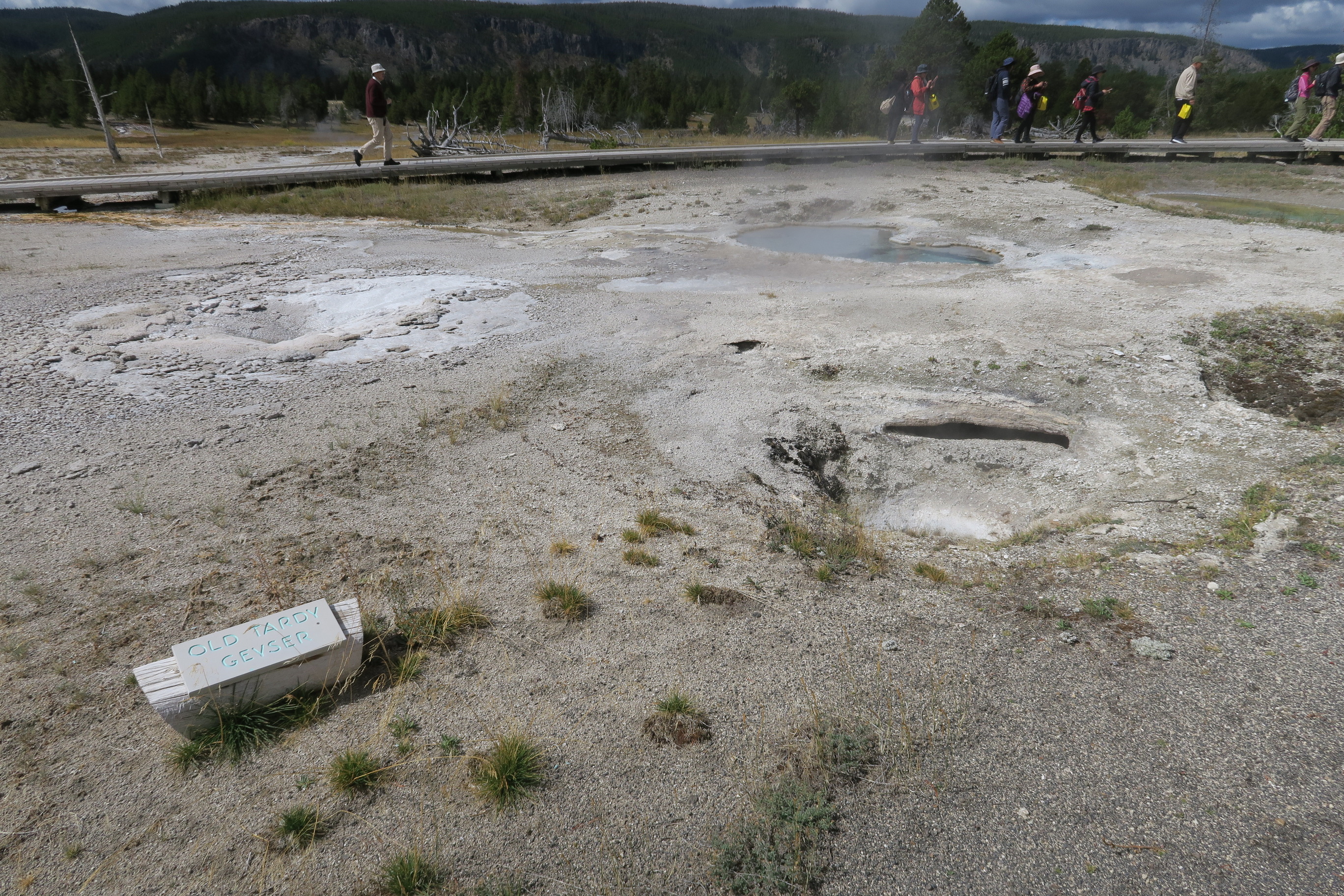 Old Tardy Geyser