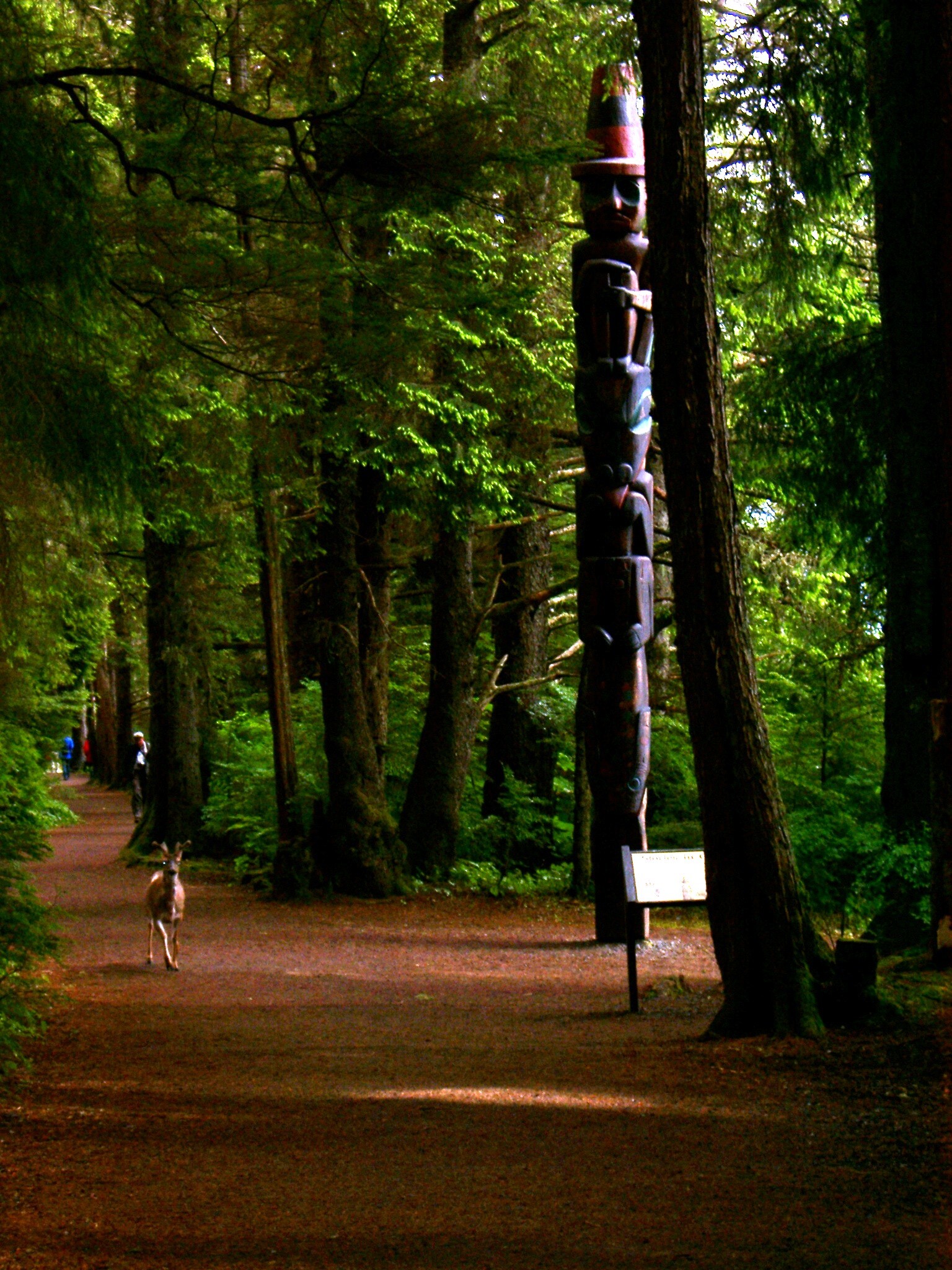 A deer on a park trail next to a totem pole