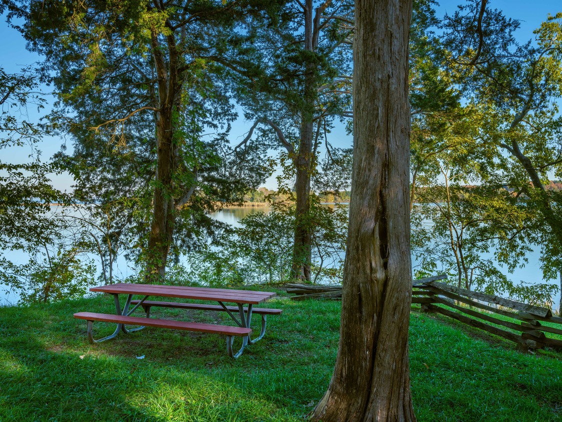 Red picnic table surrounded by grass and trees