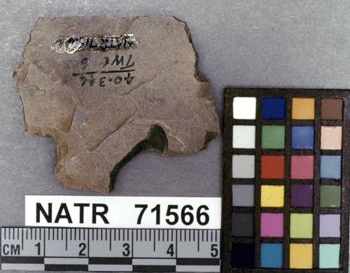 NATR   71566 -- Untyped projectile point