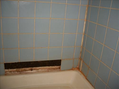 Replace Floor Coverings and Ceramic Tile at USPP D-3