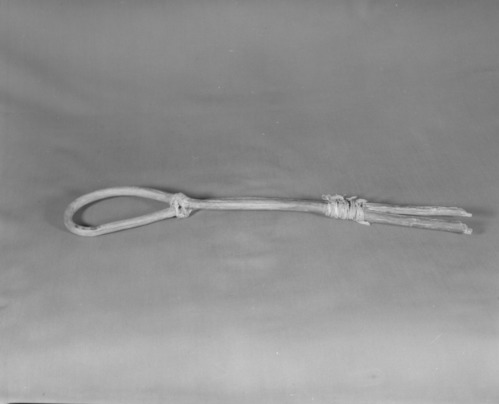 Private Collection. Object: Miwok looped stirring stick. Dimensions: 19 1/4" long. Materials: Oak and cotton string. Collection History: Purchased from Mrs. Mary Longfellow Poncho (Maggie Longfellow Antoninni's mother). Photographed by Michael Dixon. Catalogued by Craig Bates and Barbara Beroza. Yosemite Collections, National Park Service.