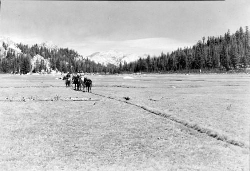 Canyon and meadow north of Glen Aulin.