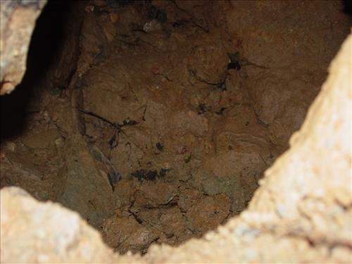 Stabilization of Mary's Wall