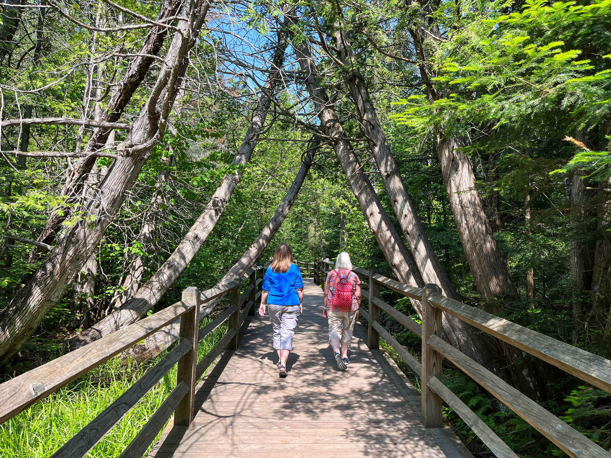 Two visitors walking on a boardwalk trail through a forest
