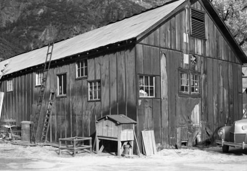 Dilapidated buildings of Y. P. & C. Co. Used in Concessions Report RL Sep. 979.447 Y-16c #31.