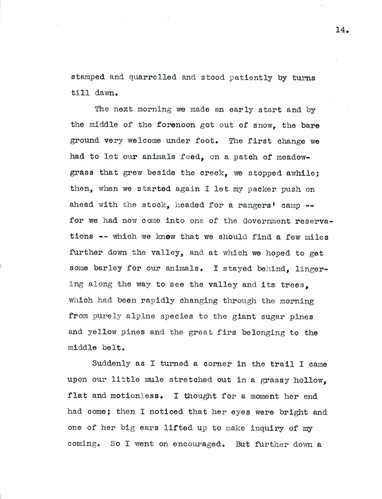 Letter, Dorr to Ogden, November 7, 1904 p.14(copy)