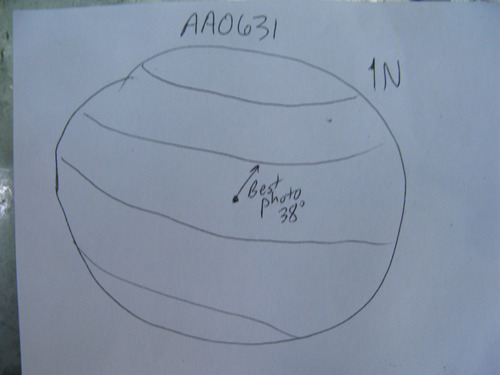 GRSM Accuracy Assessment. Plot Code: GRSM_AA_0631_7
