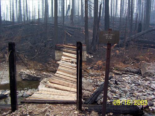 Wildland Fire Damage, Summer 2003, Glacier National Park
