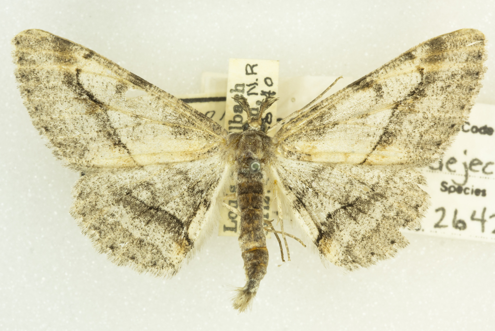 Grand Canyon Museum Collection
Address: 2 Albright Ave, Grand Canyon Village, AZ 86023
Phone: (928) 638-7769
https://www.nps.gov/common/utilities/sendmail/sendemail.cfm?o=6CB7F89AA2FEBAAF91AE1E90DA18A7A1439E528653B8AC914F0CE08011C0&r=/grca/learn/historyculture/muscol.htm