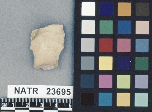 NATR   23695 -- Untyped projectile point
