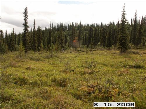 3 Small Mammal Survey in Denali National Park and Preserve in August 2006