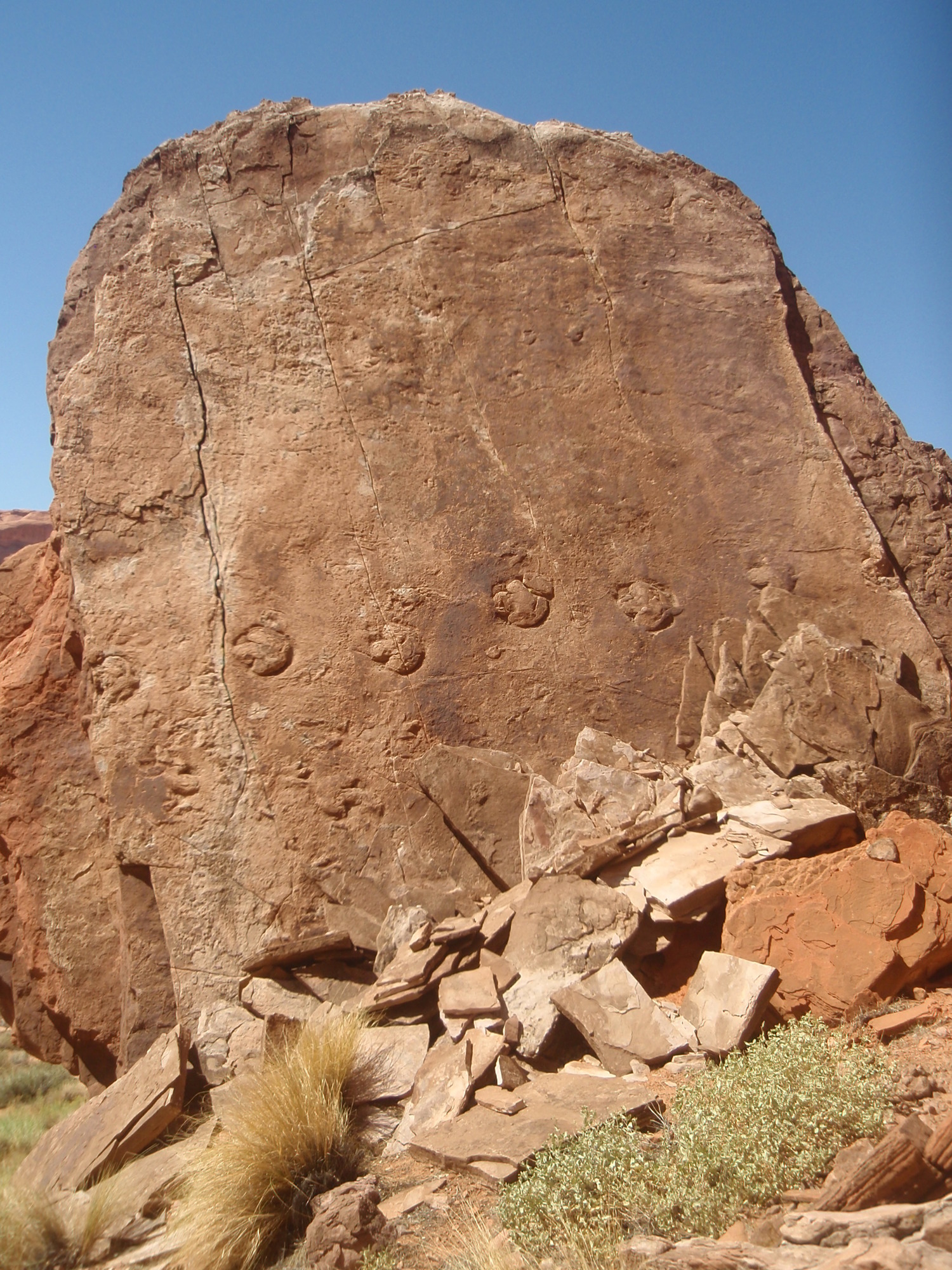 a path of 7 raised footprints go across a tall brown rock face. 