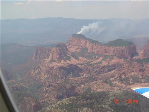 Timber Top Mountain Fire photos, Zion National Park, July 2003