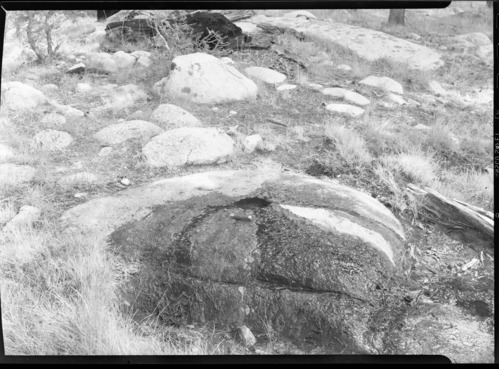 Unusual spring coming from hole in top of boulder at Tuolumne Meadows.