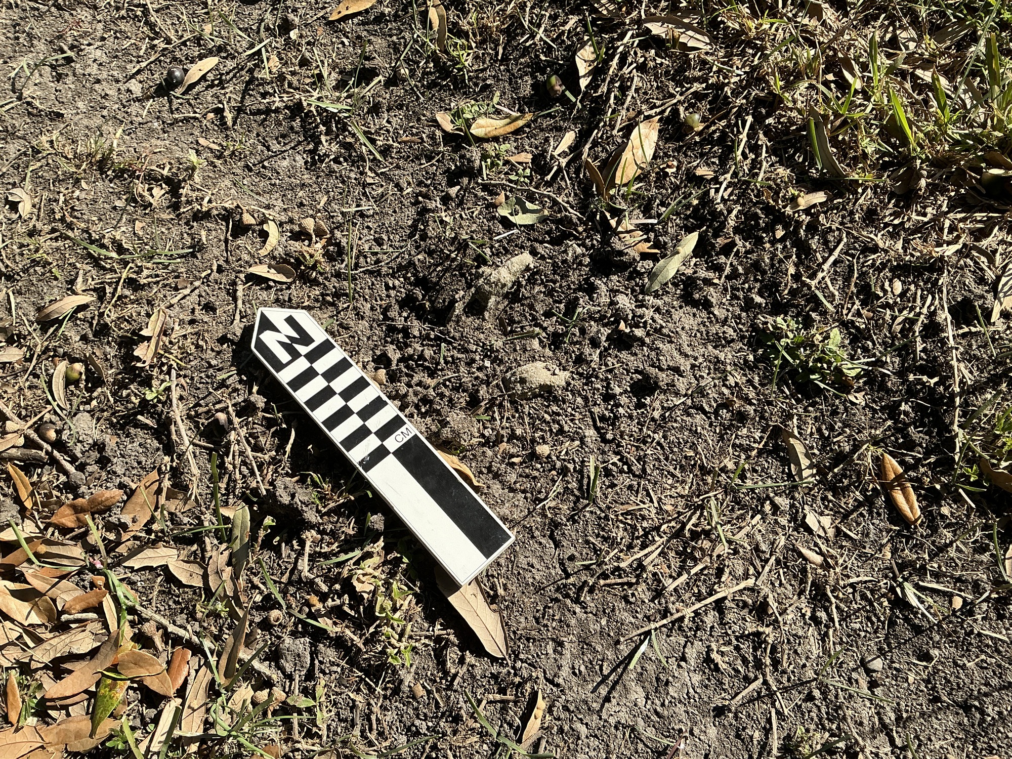 Extra image of flat marble marker