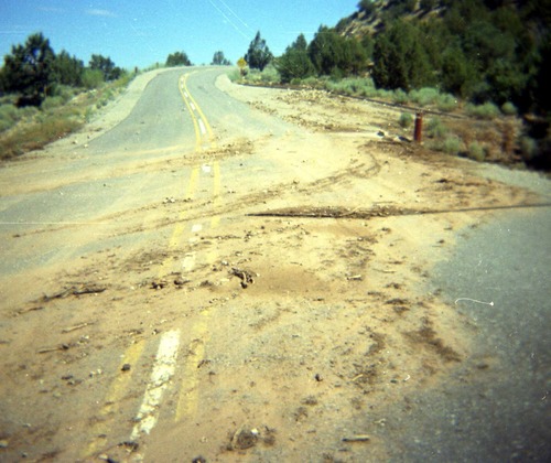 Color Photos of rock slides in Kolob Canyon.