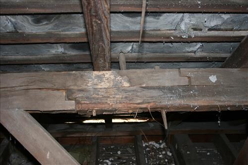 Stoll-Gunn-Dunn House Principal Purlin System prior to demolition in February 2013