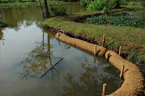 Restore Historic Dikes and Ponds at Kenilworth Aquatic Gardens in June 2010