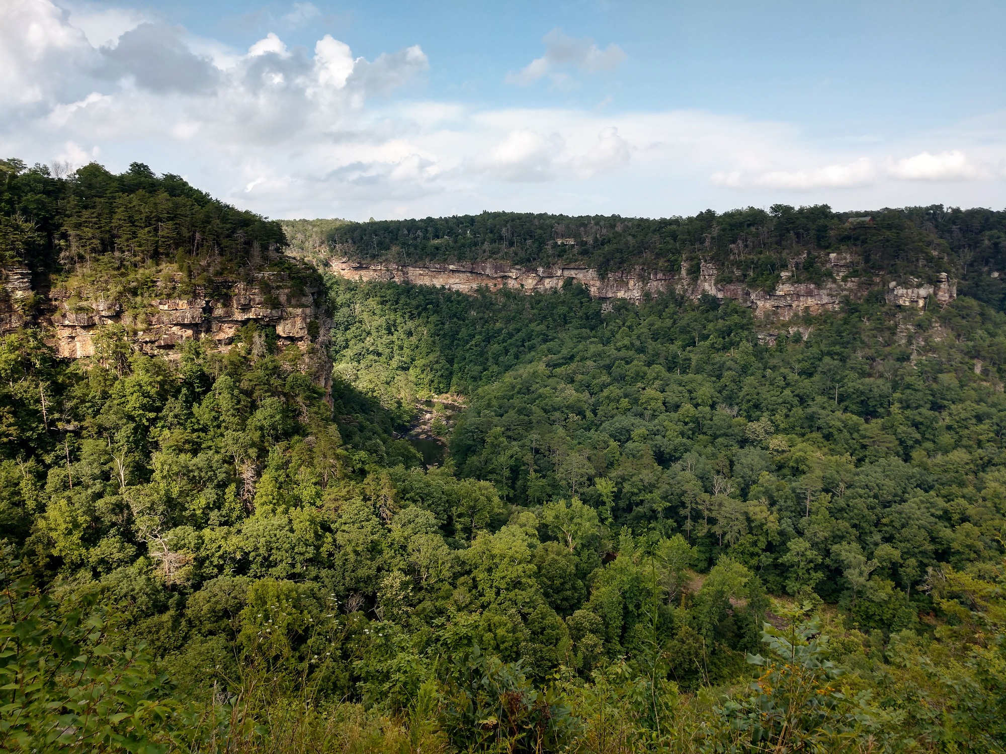 Bear Creek and an unnamed creek flow into Little River from either side of the canyon below Eberhart Point, with the sandstone cliffs towering above them. The Eberhart Trail begins at this overlook.