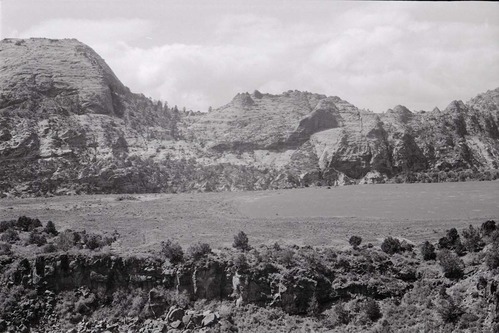 BW photo of the 1937 grazing study 35MM. Photo of clearing in southern Lee Valley.