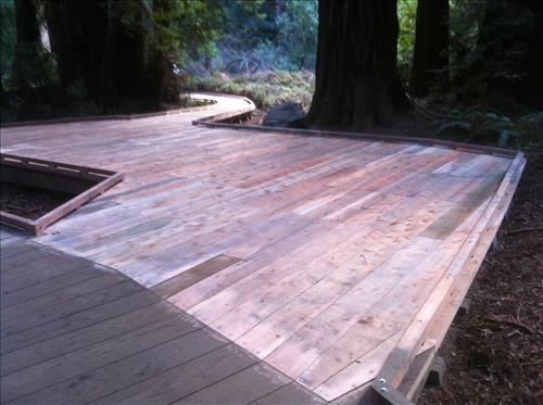 Rehabilitate and Upgrade Muir Woods Trails to meet Outdoor Accessible Guidelines- Trails Forever