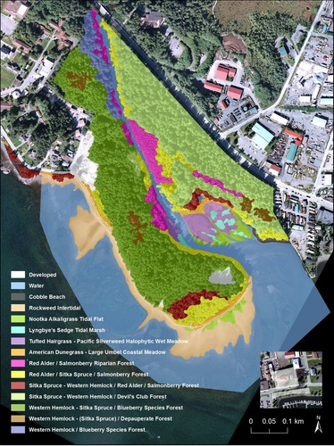 landcover map 2012 for Sitka National Historical Park