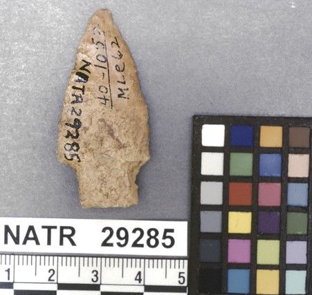 NATR   29285 -- Dickson Cluster projectile point