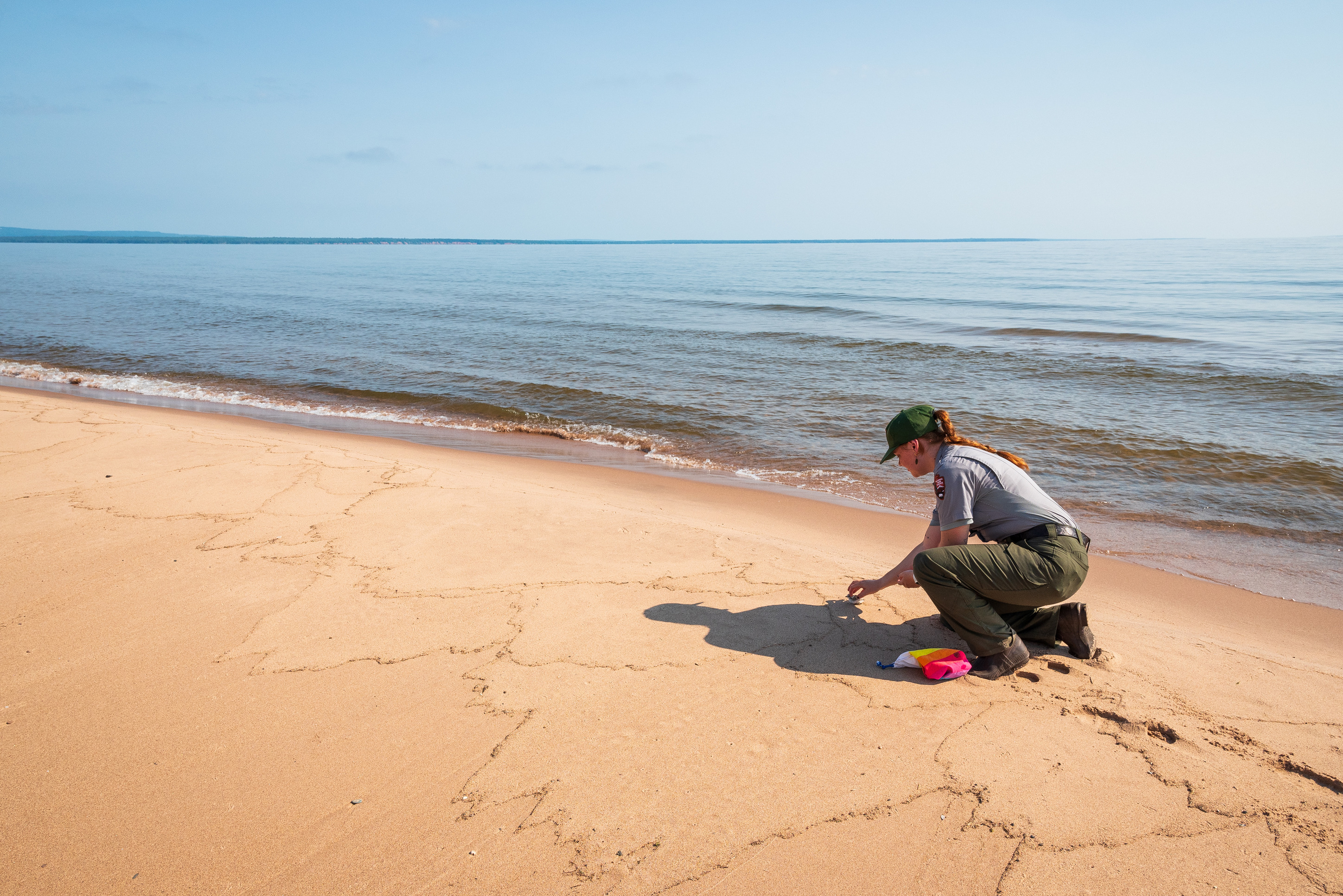 Photograph of a person kneeling on a sandy beach releasing a small plover onto the sand with a background of blue water and a distant, tree-lined shoreline. 