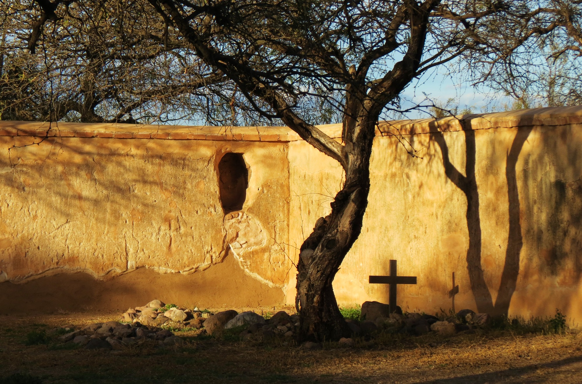 corner of adobe wall with tree and grave marker with cross